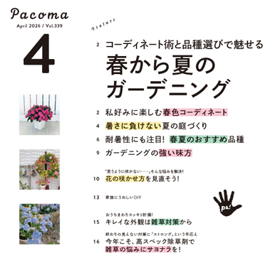 image Pacoma_2603_index